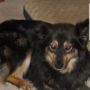 Meet your Posher, Andy